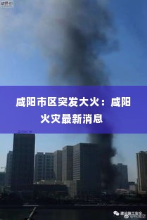 死而后已 第3页