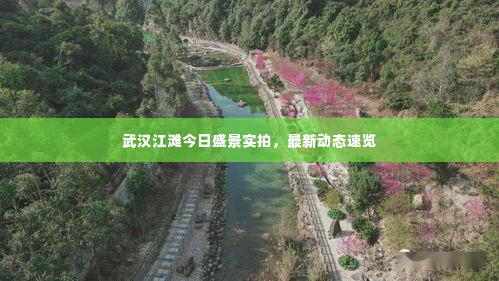 武汉江滩今日盛景实拍,最新动态速览