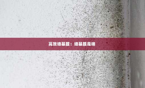 高效墙基膜:墙基膜是啥