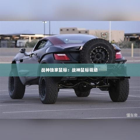 战神独家鼠标：战神鼠标驱动 