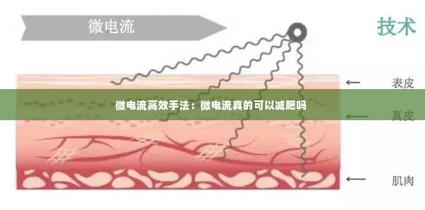 微电流高效手法:微电流真的可以减肥吗