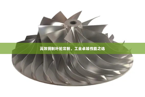 高效钢制叶轮定制,工业卓越性能之选