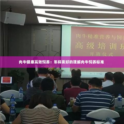 肉牛健康高效饲养：怎样更好的理解肉牛饲养标准 