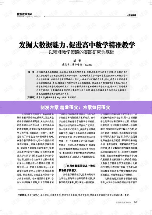 制发方案 精准落实：方案如何落实 