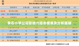 黄石小学公司影响力排名榜单及分析揭秘
