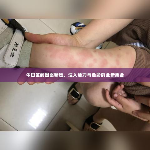 今日签到图案精选,注入活力与色彩的全新集合