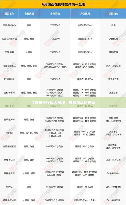 今日节日行情大揭秘，最新消息抢先看