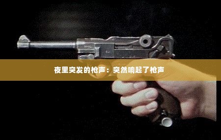 夜里突发的枪声:突然响起了枪声