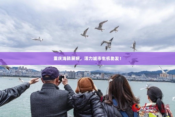 重庆海鸥展翅,活力城市生机勃发!