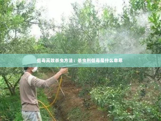 低毒高效杀虫方法：杀虫剂低毒是什么意思 
