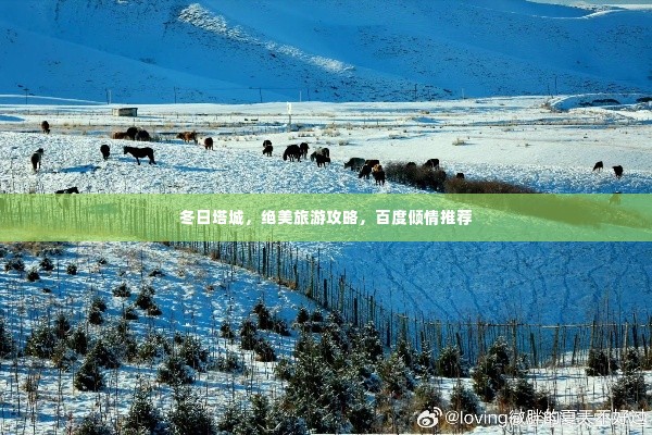 冬日塔城，绝美旅游攻略，百度倾情推荐