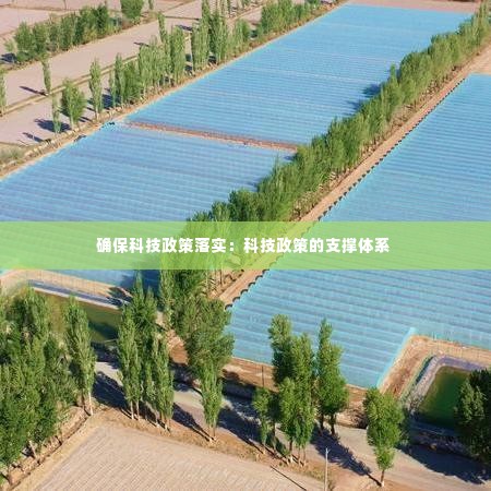 确保科技政策落实:科技政策的支撑体系
