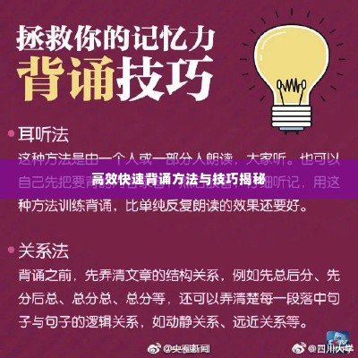 高效快速背诵方法与技巧揭秘