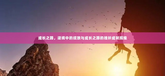 成长之路，逆境中的绽放与成长之路的挫折成就辉煌