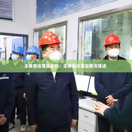 主体责任落实资料：主体责任落实情况描述 