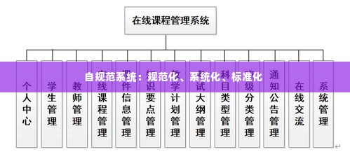 自规范系统:规范化、系统化、标准化