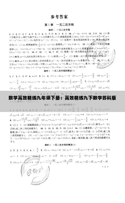 数学高效精练九年级下册：高效精练九下数学苏科版 