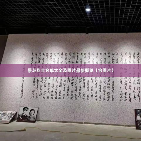 大雪纷飞 第3页