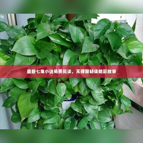 最新七鬼小说免费阅读,无弹窗畅读精彩故事