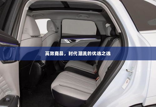 高效商品,时代潮流的优选之选