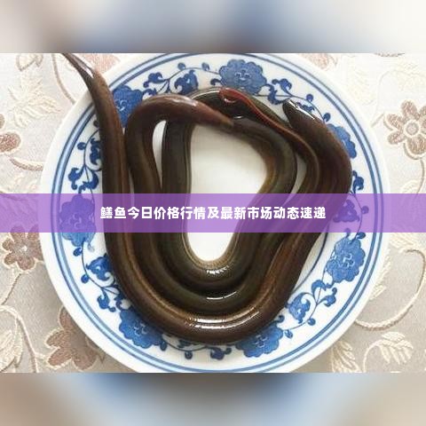 鳝鱼今日价格行情及最新市场动态速递