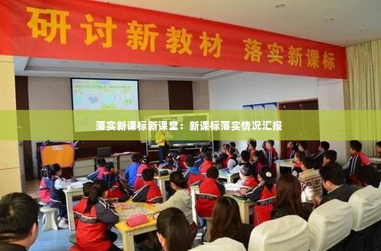 落实新课标新课堂:新课标落实情况汇报