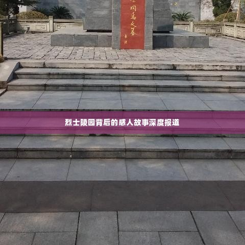 烈士陵园背后的感人故事深度报道