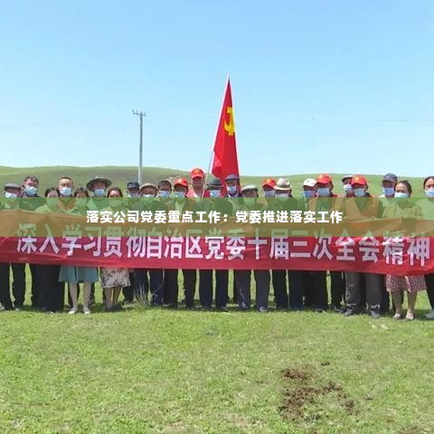 落实公司党委重点工作:党委推进落实工作