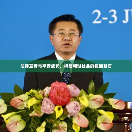 法律宣传与平安成长,构建和谐社会的稳固基石