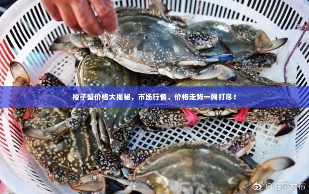 梭子蟹价格大揭秘，市场行情、价格走势一网打尽！