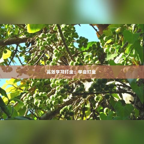 功名富贵 第3页