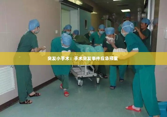 突发小手术：手术突发事件应急预案 
