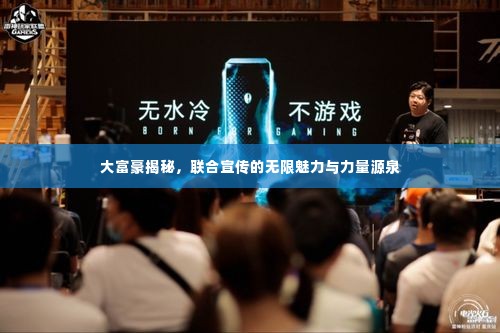 大富豪揭秘,联合宣传的无限魅力与力量源泉