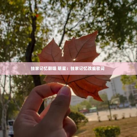 独家记忆翻唱 明星：独家记忆改编歌词 