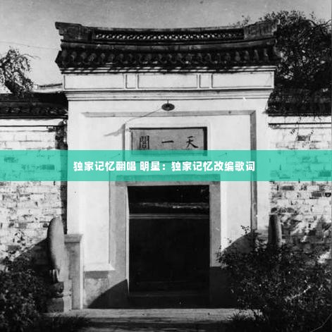 独家记忆翻唱 明星:独家记忆改编歌词