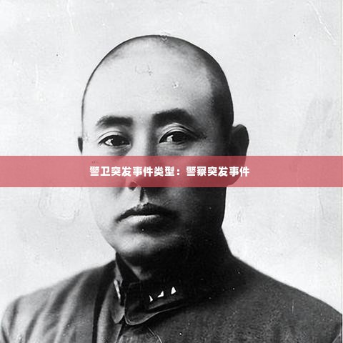 警卫突发事件类型:警察突发事件