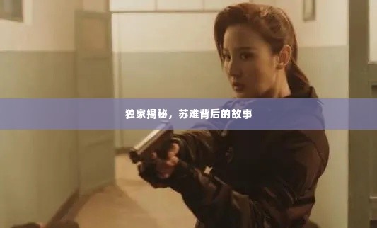 独家揭秘,苏难背后的故事