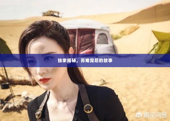 独家揭秘,苏难背后的故事