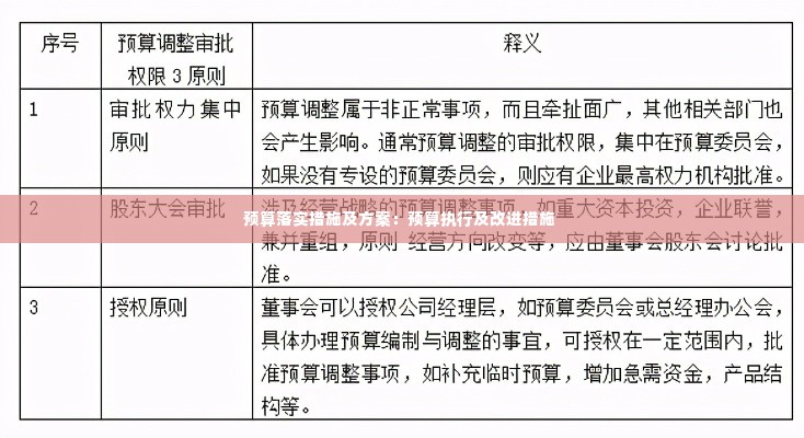 预算落实措施及方案：预算执行及改进措施 