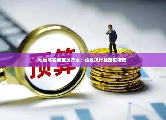 预算落实措施及方案:预算执行及改进措施