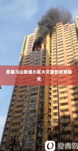 聚精会神 第3页