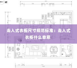 走入式衣柜尺寸规范标准:走入式衣柜什么意思