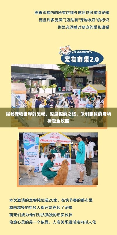 揭秘宠物世界的奥秘,深度探索之旅,吸引眼球的宠物标题全攻略