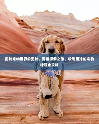 揭秘宠物世界的奥秘,深度探索之旅,吸引眼球的宠物标题全攻略