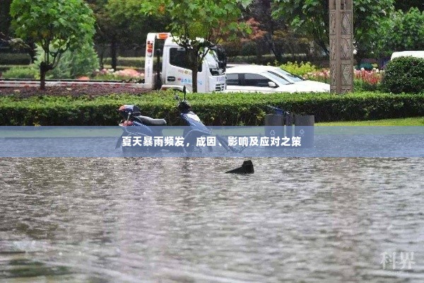 夏天暴雨频发,成因、影响及应对之策