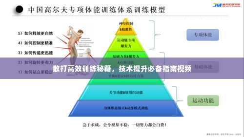 散打高效训练秘籍,技术提升必备指南视频