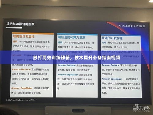 散打高效训练秘籍,技术提升必备指南视频