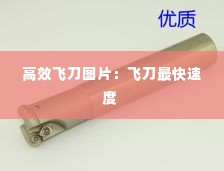 高效飞刀图片:飞刀最快速度