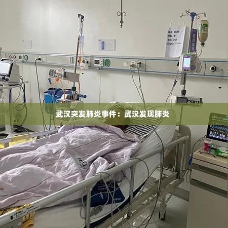 武汉突发肺炎事件:武汉发现肺炎
