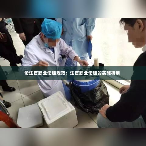 论法官职业伦理规范:法官职业伦理的实施机制